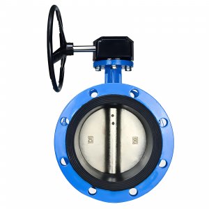 法蘭式蝸輪蝸桿蝶閥DN40，1.6Mpa（橡膠密封